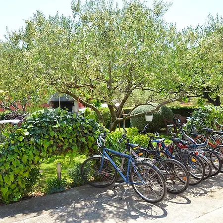 Milena & Vinko Apartments Vodice Vodice