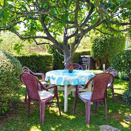 Apartment Milena & Vinko Apartments Vodice *