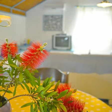Milena & Vinko Apartments Vodice Vodice