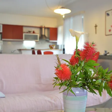 Apartment Milena & Vinko Apartments Vodice