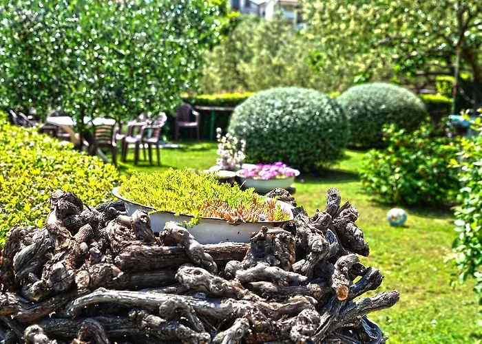 Apartment Milena & Vinko Apartments Vodice