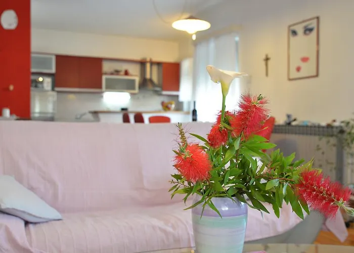 Apartment Milena & Vinko Apartments Vodice